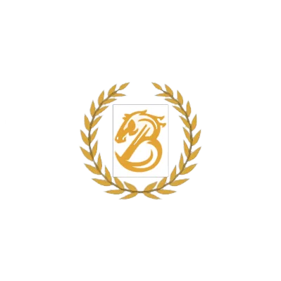 Binos chess Academy
