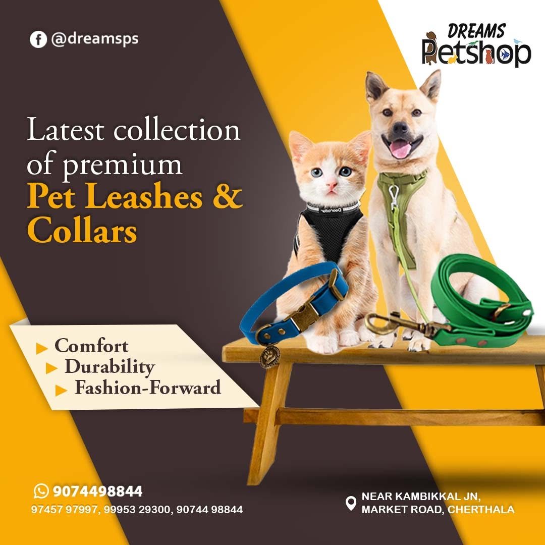 Dreams Pet Shop Gallery Image