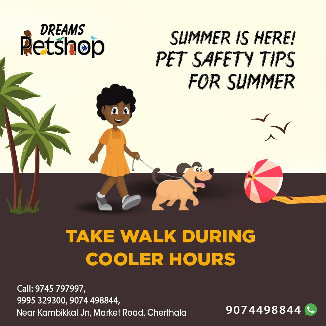 Dreams Pet Shop Gallery Image