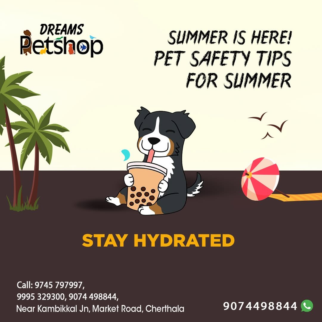 Dreams Pet Shop Gallery Image