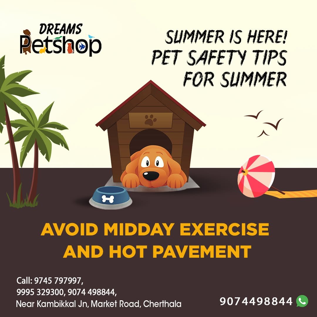 Dreams Pet Shop Gallery Image