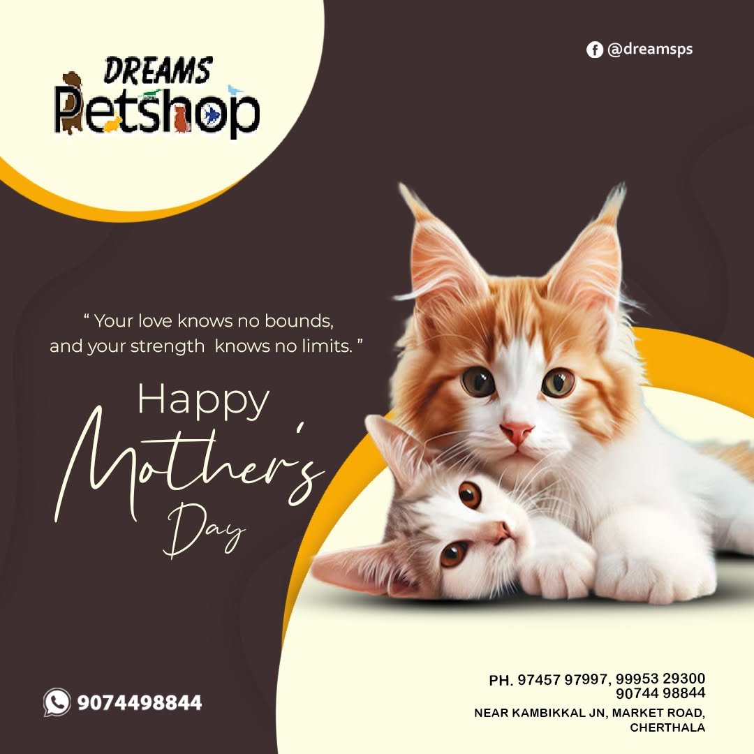 Dreams Pet Shop Gallery Image